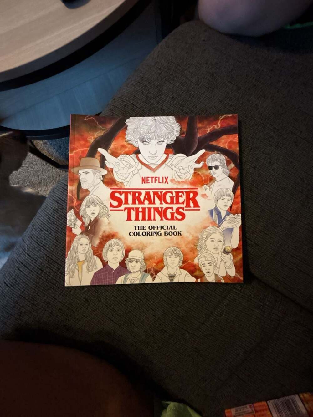 Netflix, the Official Coloring Book, 80 pages, Stranger Things scenes - .com,